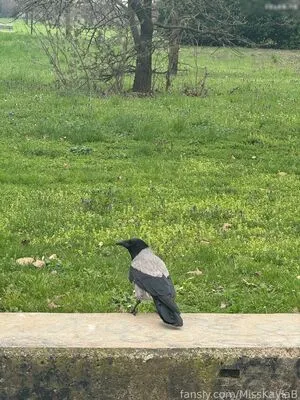 Misskaylab OnlyFans Leaked Free Thumbnail Picture - #1BJsgkjS7f