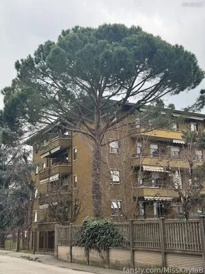 Misskaylab OnlyFans Leaked Free Thumbnail Picture - #UdSJWjPAot