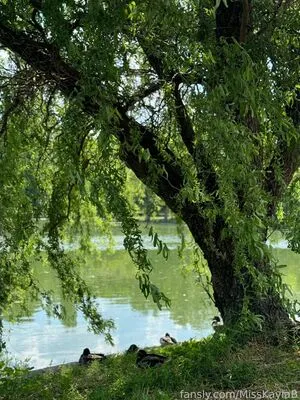 Misskaylab OnlyFans Leaked Free Thumbnail Picture - #b3VVvNKOzE