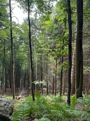 Missmaikoxx OnlyFans Leaked Free Thumbnail Picture - #rjSuLRlS7x