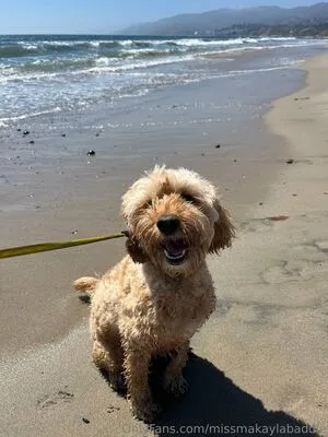 Missmakaylabaddie OnlyFans Leaked Free Thumbnail Picture - #MZqrBNfnuF