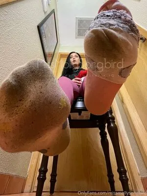 Missmollysongbird OnlyFans Leaked Free Thumbnail Picture - #XQXt8Z2ZfD