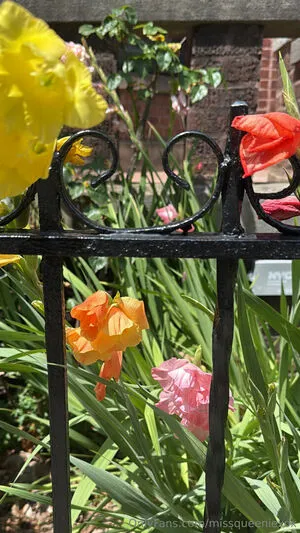 Missqueeniexox OnlyFans Leaked Free Thumbnail Picture - #YawVeaKj1X