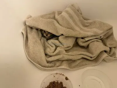 Mitsybitzy OnlyFans Leaked Free Thumbnail Picture - #MltwHMA2Ti