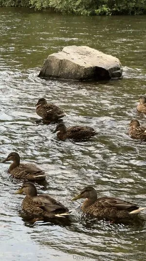 Mmurmaider OnlyFans Leaked Free Thumbnail Picture - #n4dfRTSSS8