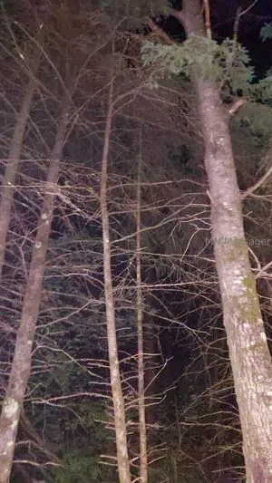 Mnmassager OnlyFans Leaked Free Thumbnail Picture - #yUQkhtXdQc