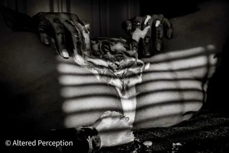 Models On Purpleport OnlyFans Leaked Free Thumbnail Picture - #ZJ7JSal25e