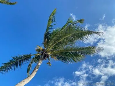 Mollypills OnlyFans Leaked Free Thumbnail Picture - #6Hebp7UkdG