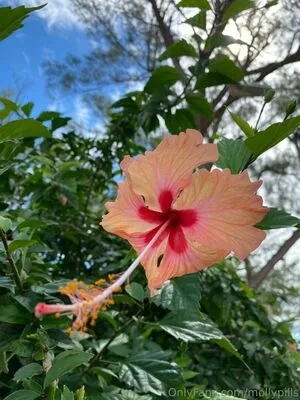 Mollypills OnlyFans Leaked Free Thumbnail Picture - #LnpAutJgyj