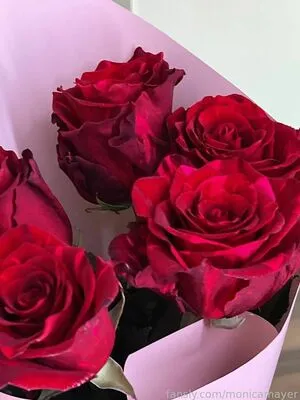 Monicabalduin OnlyFans Leaked Free Thumbnail Picture - #4xEzjPR1tZ