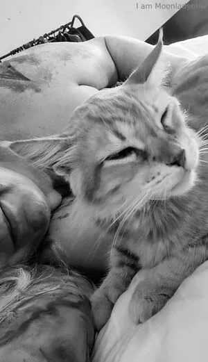 Moonladybbw Free OnlyFans Leaked Free Thumbnail Picture - #bv4mbxTbhG