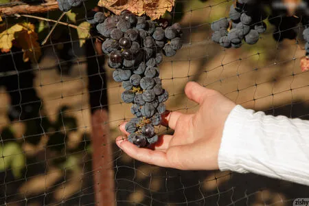 Morgan Attwood OnlyFans Leaked Free Thumbnail Picture - #BJNT9nJWYC