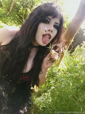Morguecat OnlyFans Leaked Free Thumbnail Picture - #U8PunSFCaM