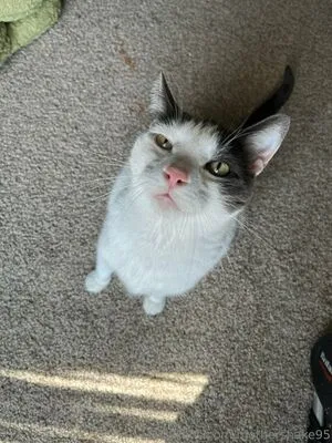 Mothershake95 OnlyFans Leaked Free Thumbnail Picture - #2P2vUgiAAs