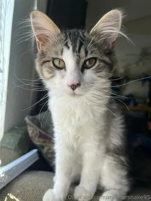 Mothershake95 OnlyFans Leaked Free Thumbnail Picture - #7lZTHrNxKR