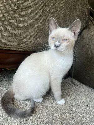 Mothershake95 OnlyFans Leaked Free Thumbnail Picture - #YE6faIT1jL