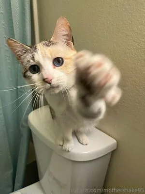 Mothershake95 OnlyFans Leaked Free Thumbnail Picture - #d7NneKxOsg