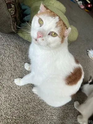 Mothershake95 OnlyFans Leaked Free Thumbnail Picture - #g2KUt47VXC