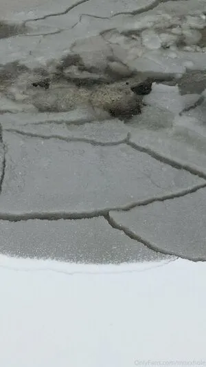 Moxxhole OnlyFans Leaked Free Thumbnail Picture - #oZKLk5VRbn