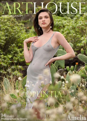 Mplstudios OnlyFans Leaked Free Thumbnail Picture - #7XFJjKXV7b