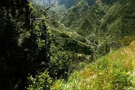 Mplstudios OnlyFans Leaked Free Thumbnail Picture - #DCHPjqFZJi