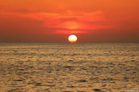 Mplstudios OnlyFans Leaked Free Thumbnail Picture - #riQCXyBQum