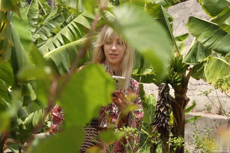 Mplstudios OnlyFans Leaked Free Thumbnail Picture - #zqgXmvGP6R