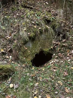 Mr Snack OnlyFans Leaked Free Thumbnail Picture - #ccPkzrSjr0