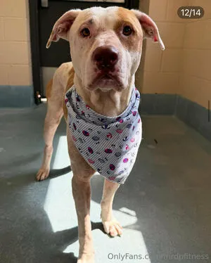 Mrdpfitness OnlyFans Leaked Free Thumbnail Picture - #APg1Nm00ZM