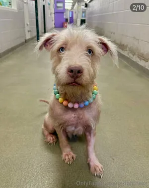 Mrdpfitness OnlyFans Leaked Free Thumbnail Picture - #Hi1b9ryPdW