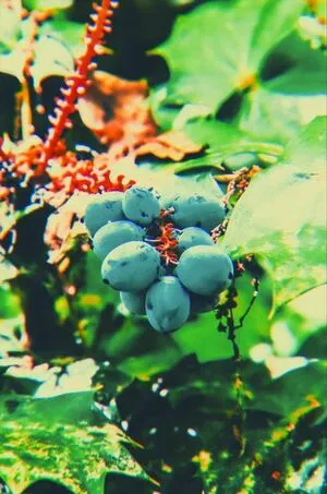 Mrs Dainty OnlyFans Leaked Free Thumbnail Picture - #B5zLUQ8Rdk