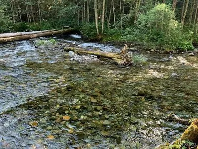 Msmila OnlyFans Leaked Free Thumbnail Picture - #CMS7okW6a4