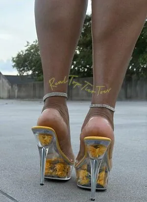 Mytoptiertoes OnlyFans Leaked Free Thumbnail Picture - #ScEb31ONoN