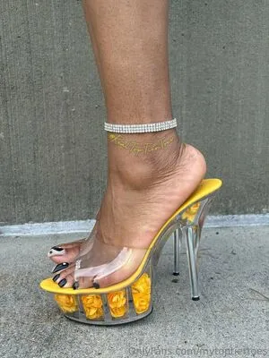 Mytoptiertoes OnlyFans Leaked Free Thumbnail Picture - #khbIedB3CL