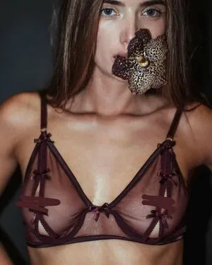 N A OnlyFans Leaked Free Thumbnail Picture - #jXvnSDq5ph