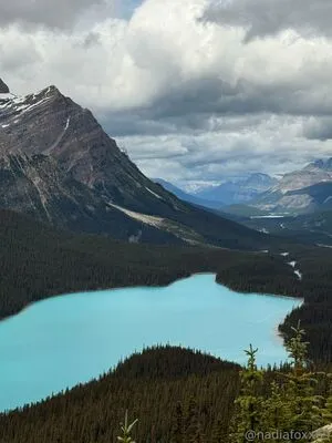 Nadiafoxx69 OnlyFans Leaked Free Thumbnail Picture - #8K1nroVNc8