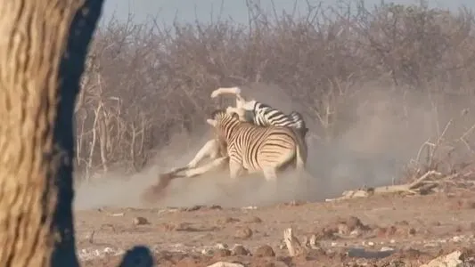 Nadine Freund OnlyFans Leaked Free Thumbnail Picture - #QQDsiwaQYt