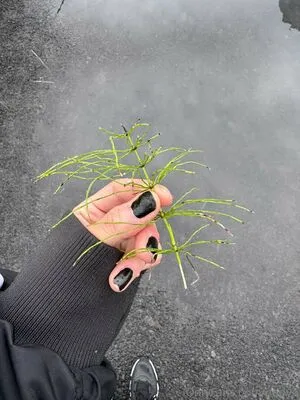 Nadya OnlyFans Leaked Free Thumbnail Picture - #7kUxYpBcu7