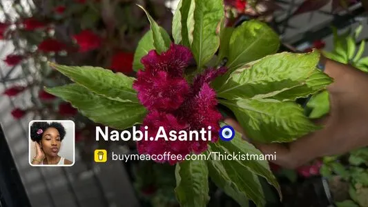 Naobi Asanti OnlyFans Leaked Free Thumbnail Picture - #brAKsb8X88