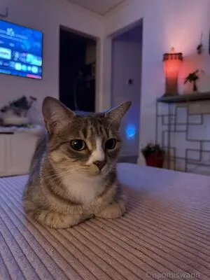 Naomiswann OnlyFans Leaked Free Thumbnail Picture - #8a7vMr472e