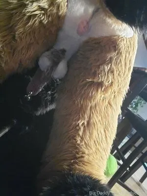 Nastyyenaproductions OnlyFans Leaked Free Thumbnail Picture - #KMDNVDLFLk