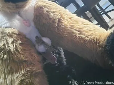 Nastyyenaproductions OnlyFans Leaked Free Thumbnail Picture - #pqRXwiIMYf