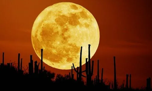 Nataliakattz OnlyFans Leaked Free Thumbnail Picture - #Pe8XYucdPp