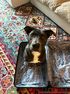 Nathooper OnlyFans Leaked Free Thumbnail Picture - #ZkqBouKEv0