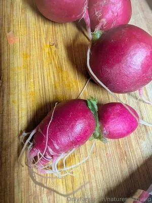 Natures Lil Nymp OnlyFans Leaked Free Thumbnail Picture - #AroOv68Bj7