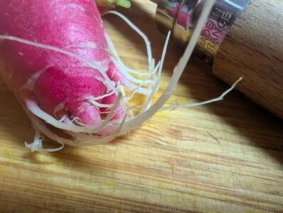 Natures Lil Nymp OnlyFans Leaked Free Thumbnail Picture - #EH2aFypNa8