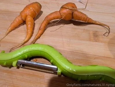 Natures Lil Nymp OnlyFans Leaked Free Thumbnail Picture - #Tflxtp3fbq