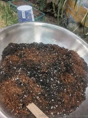 Natures Lil Nymp OnlyFans Leaked Free Thumbnail Picture - #YIqcodHqeP