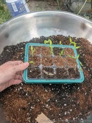 Natures Lil Nymp OnlyFans Leaked Free Thumbnail Picture - #YLORL4378h