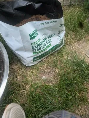 Natures Lil Nymp OnlyFans Leaked Free Thumbnail Picture - #YP4ZCTsP7G